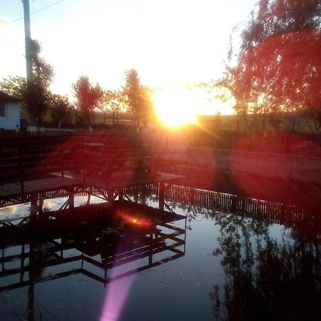 Pensiunea ,,La Struti" Târgu Neamț Buitenkant foto