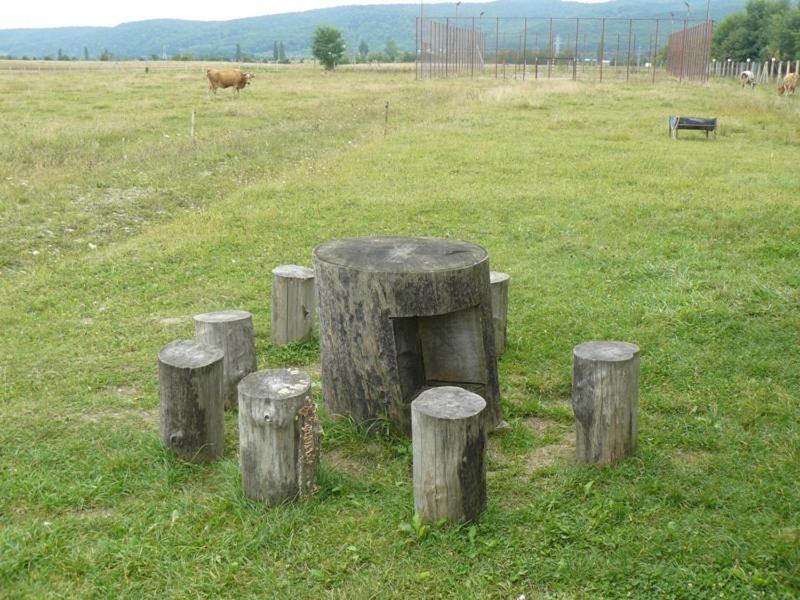 Pensiunea ,,La Struti" Târgu Neamț Buitenkant foto