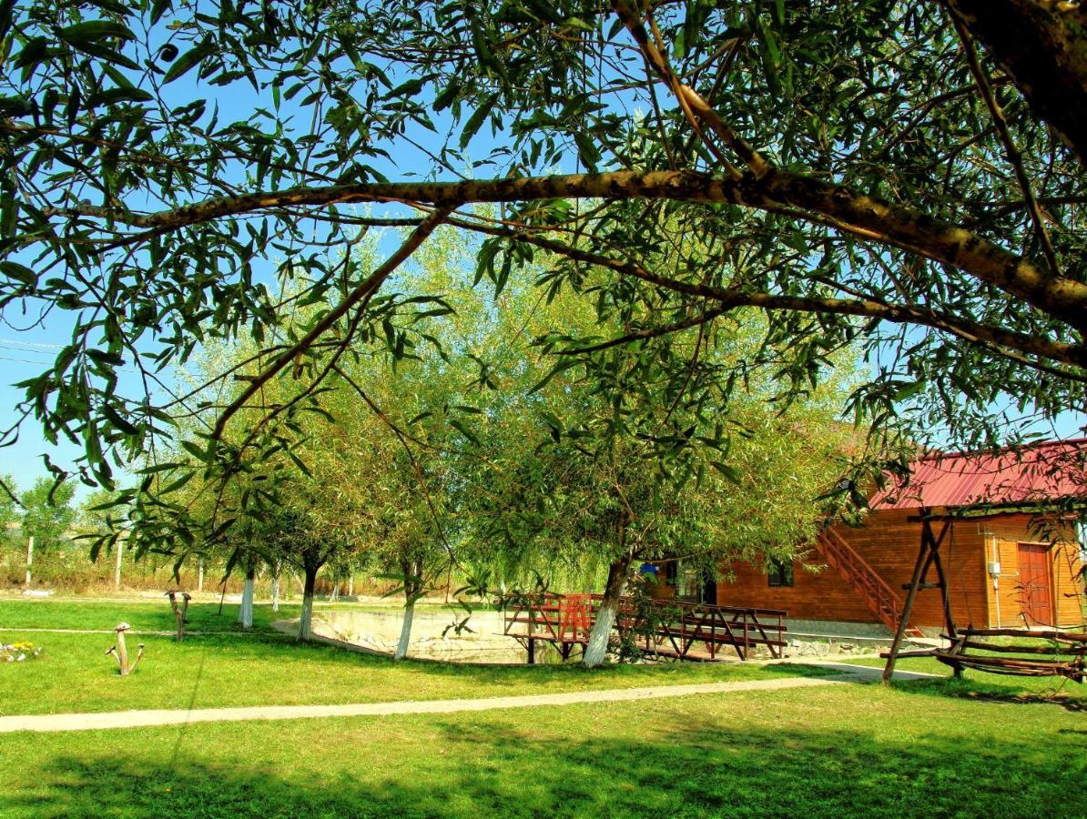Pensiunea ,,La Struti" Târgu Neamț Buitenkant foto